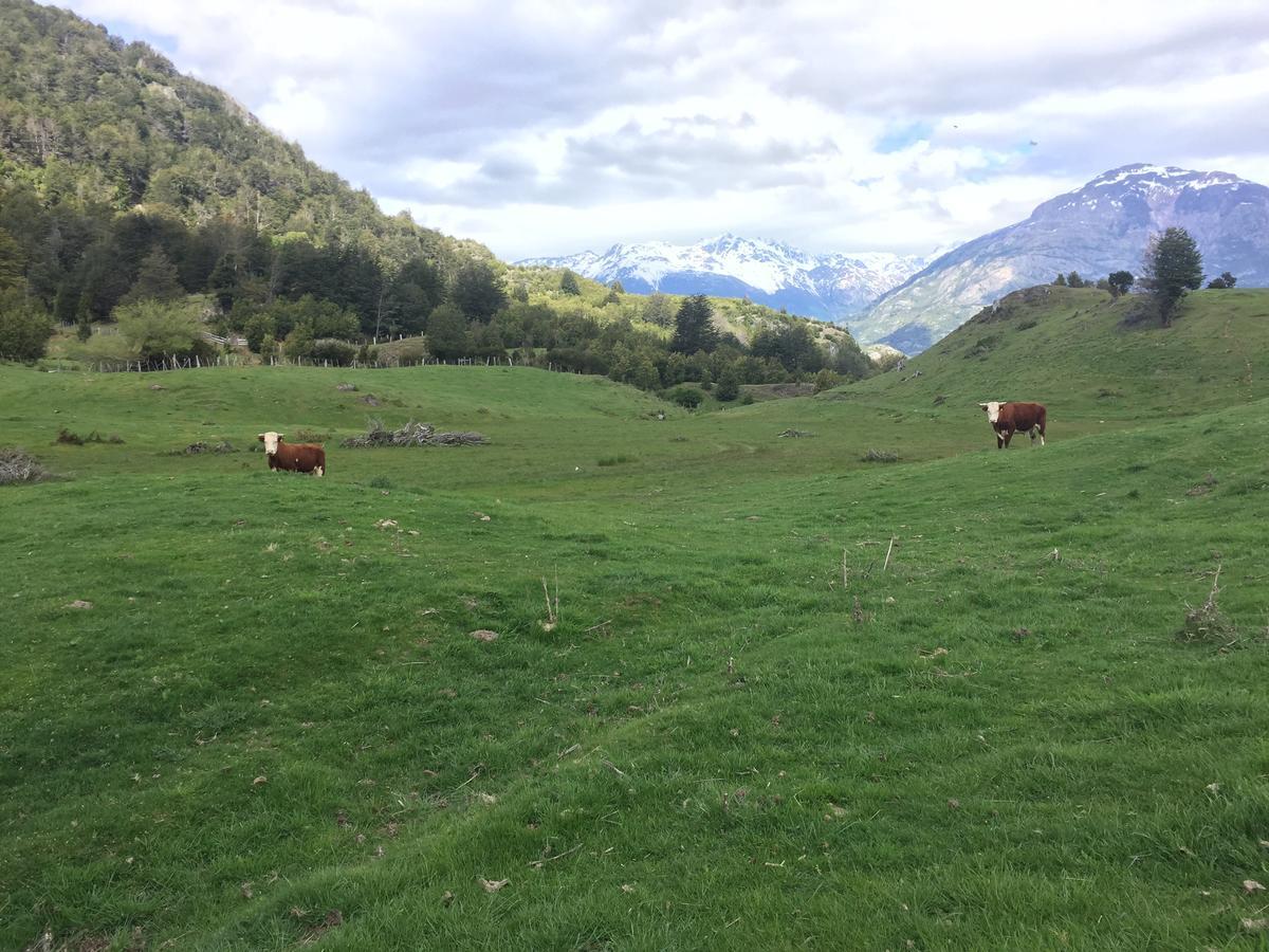 Turismo Rural Los Alpes Futaleufú Extérieur photo